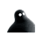 Creator image