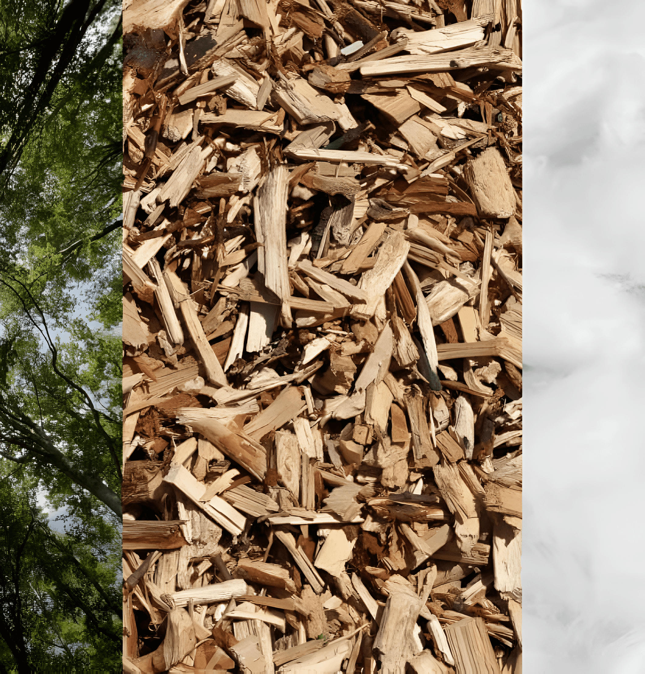 CELLULOSE ALTERNATIVES