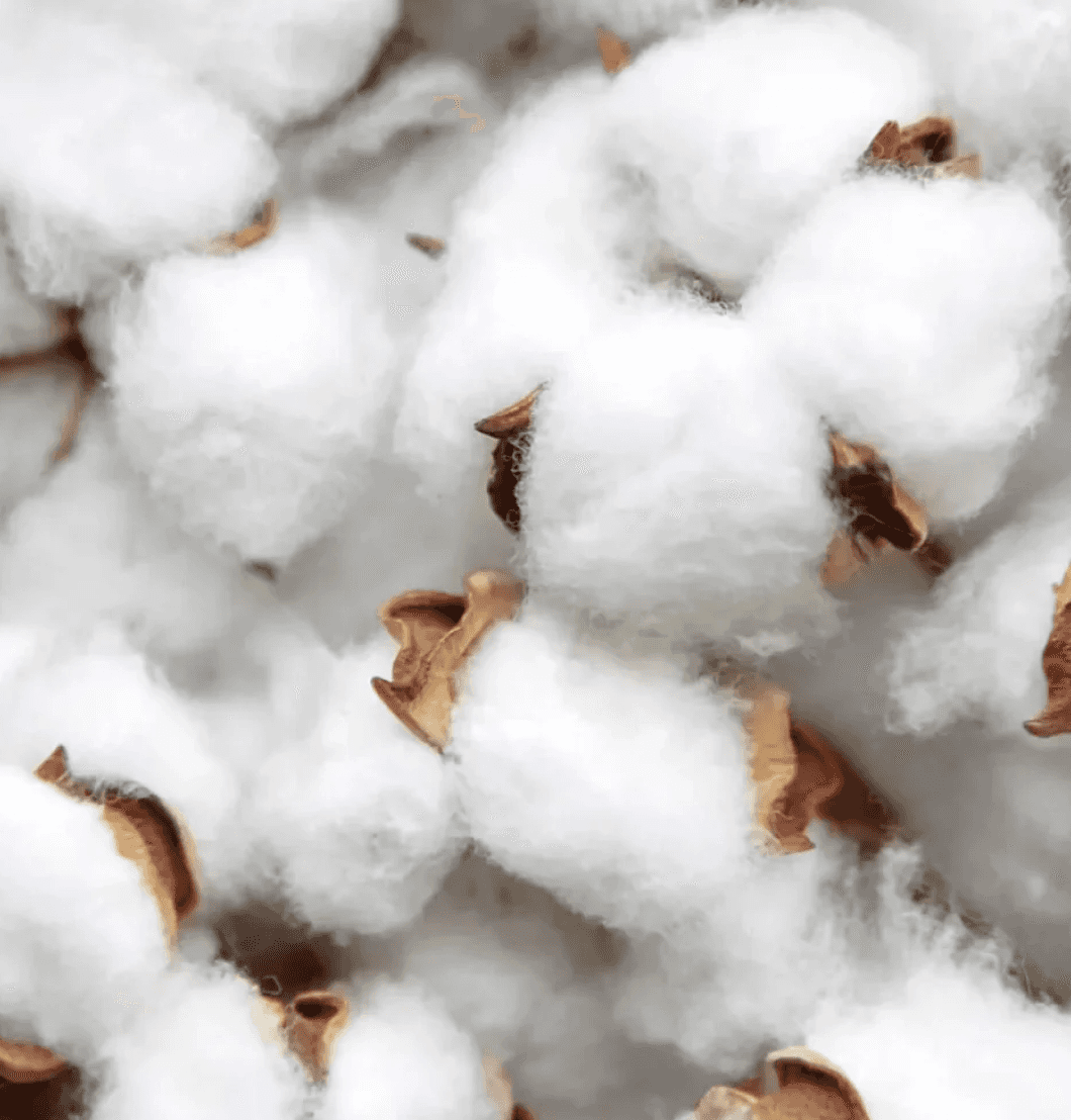 COTTON