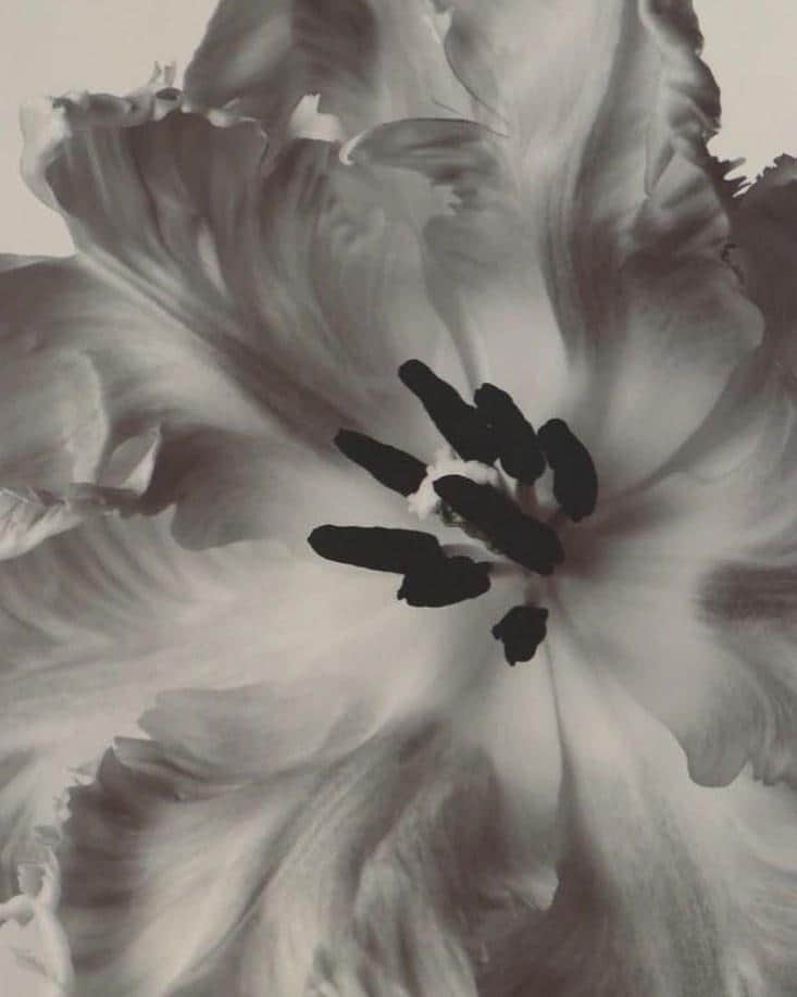 Moodboard image