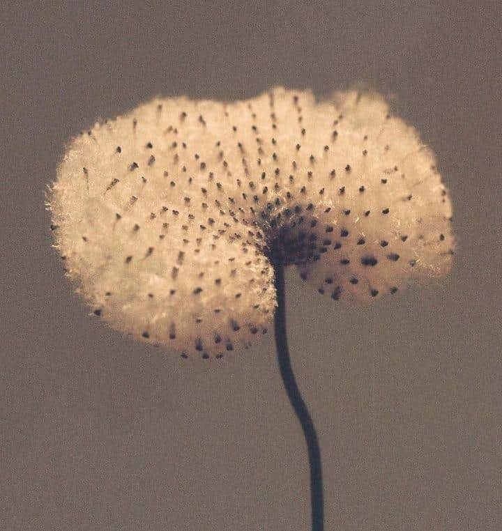 Moodboard image