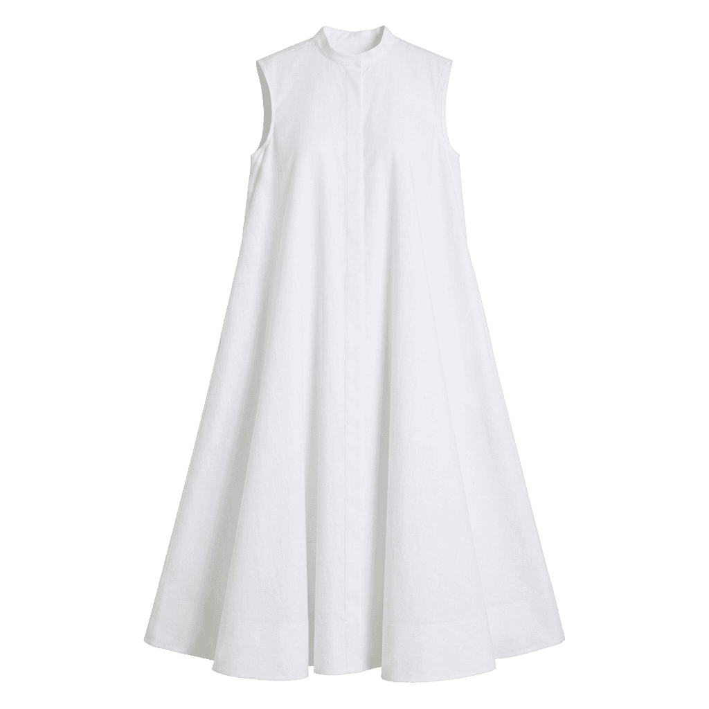 Mandarin Collar Trapeze Dress
