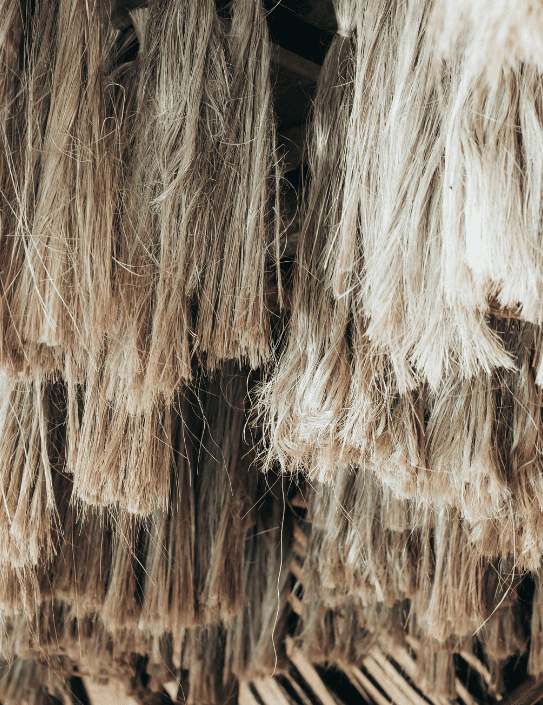 AGRIWASTE PLNT FIBER™