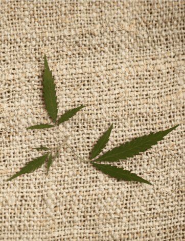 HEMP COTTON
