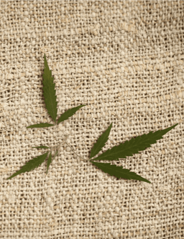 Hemp Cotton