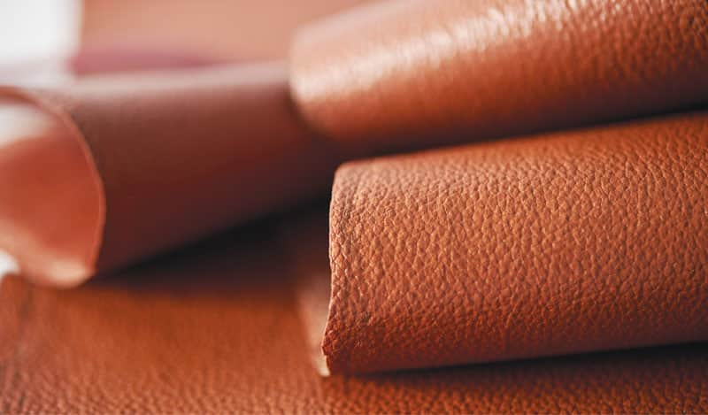 Lab Grown Leather