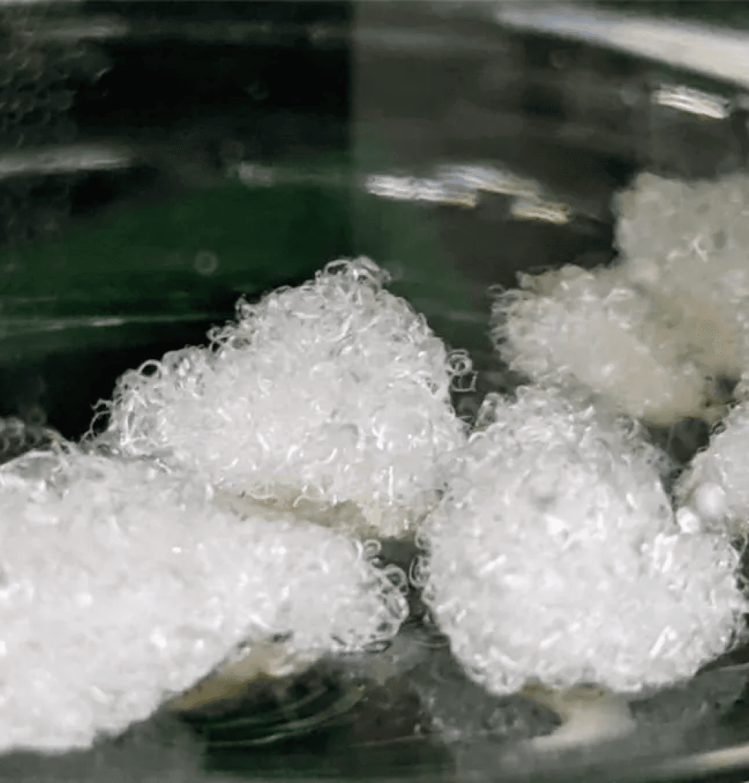 Labgrown Cotton
