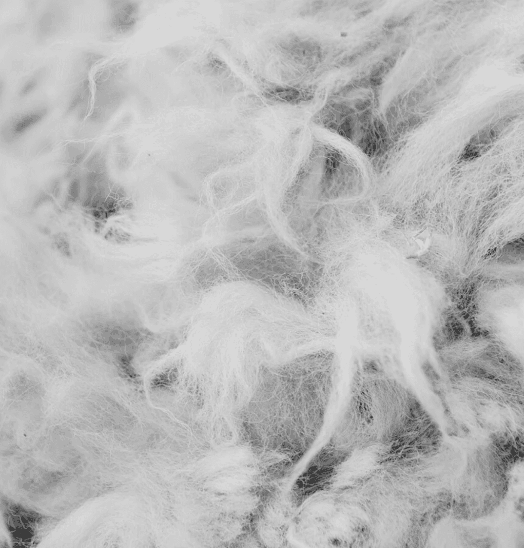Recycled Cotton