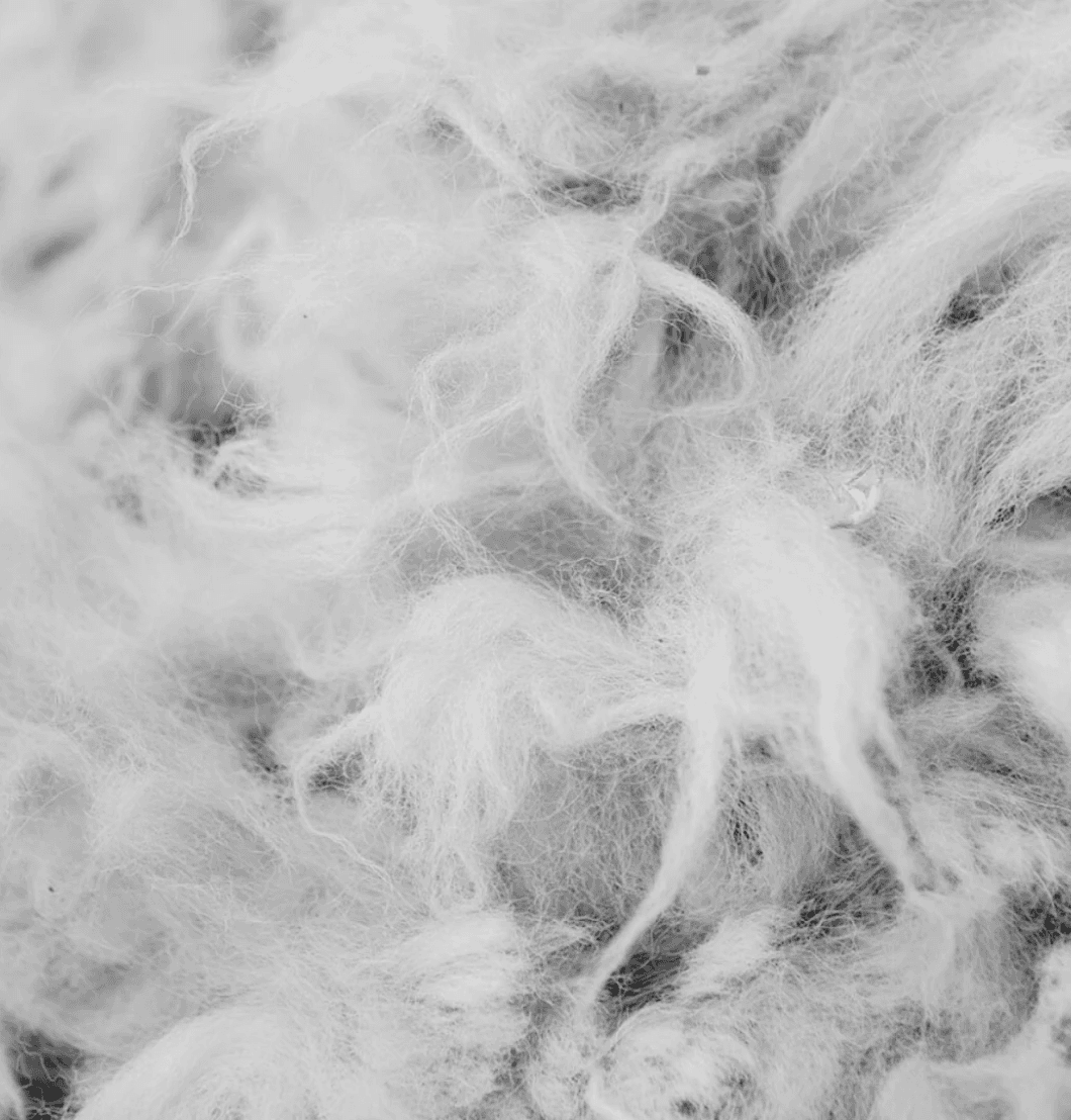 Recycled Cotton