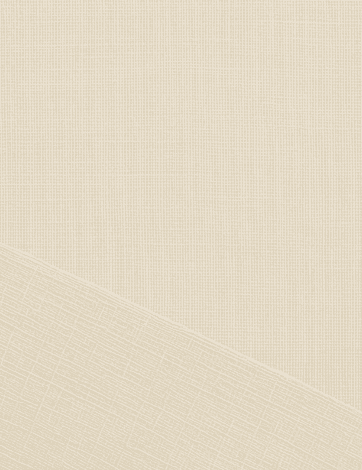 SEE THROUGH LINEN